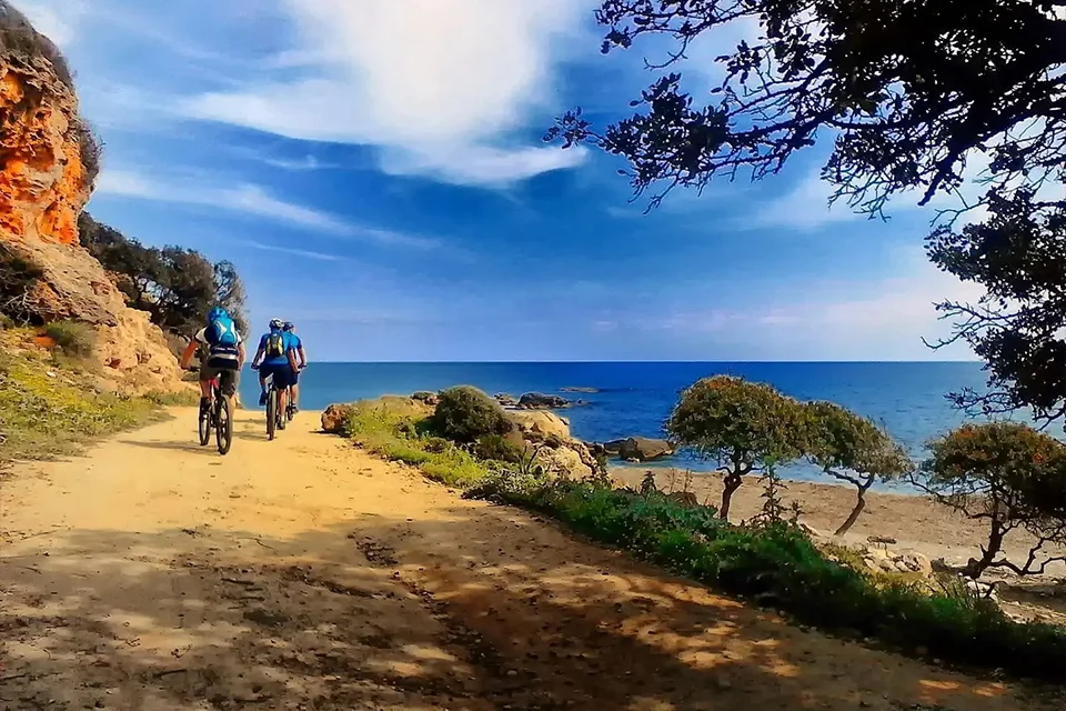 Mountain Bike Tours Joyride